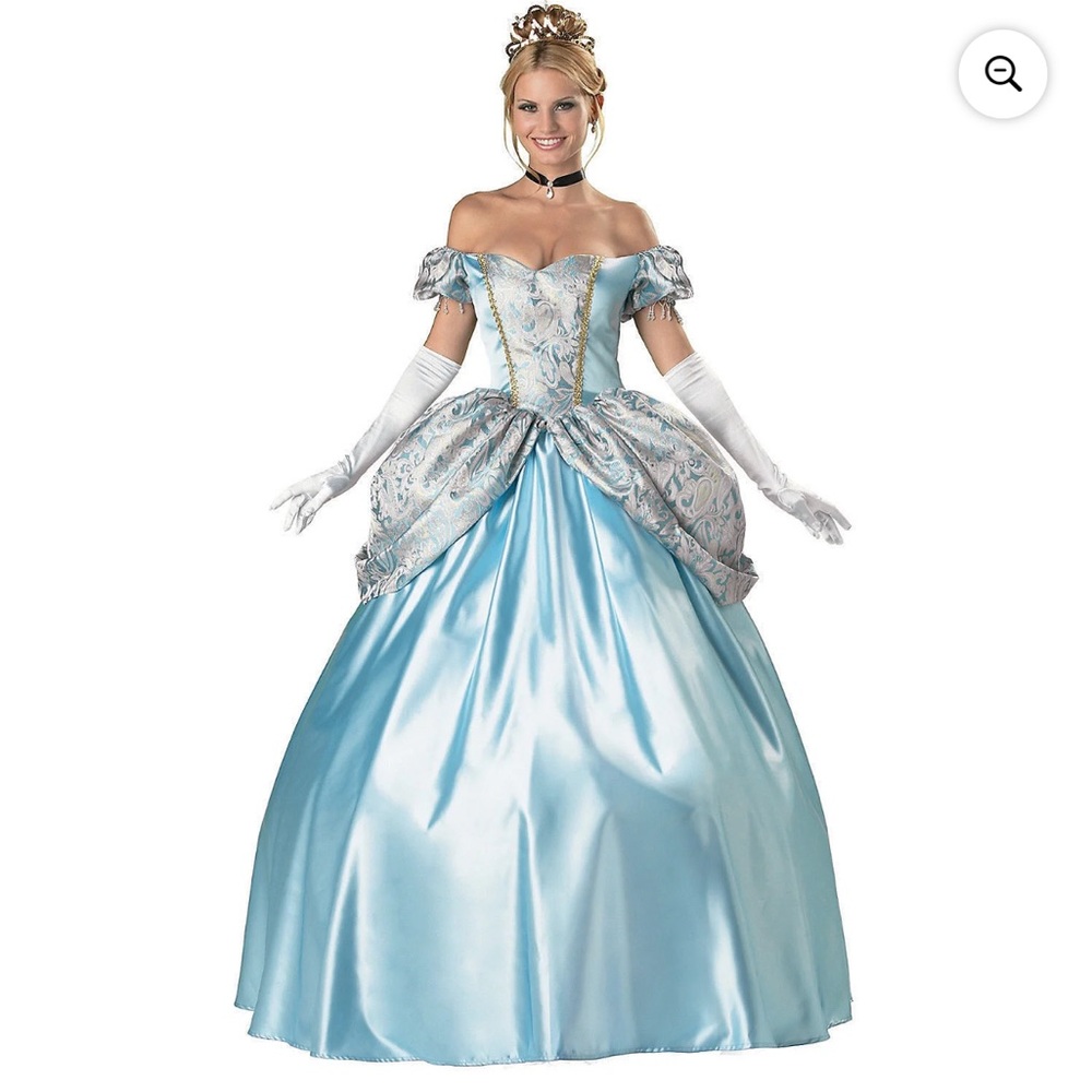 Elegant Blue Princess Halloween costume for adult, Cinderella dress